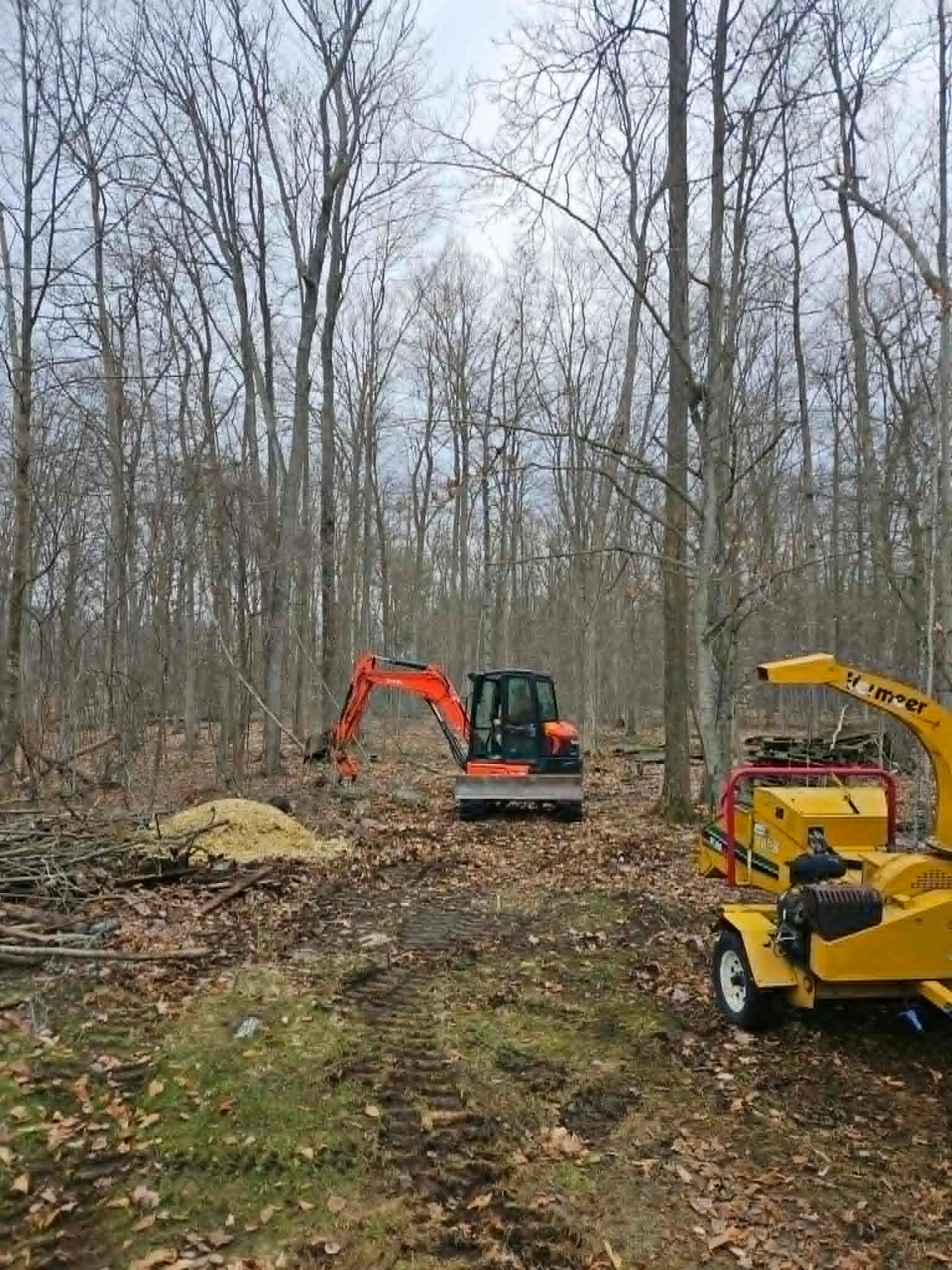 Lot Clearing
