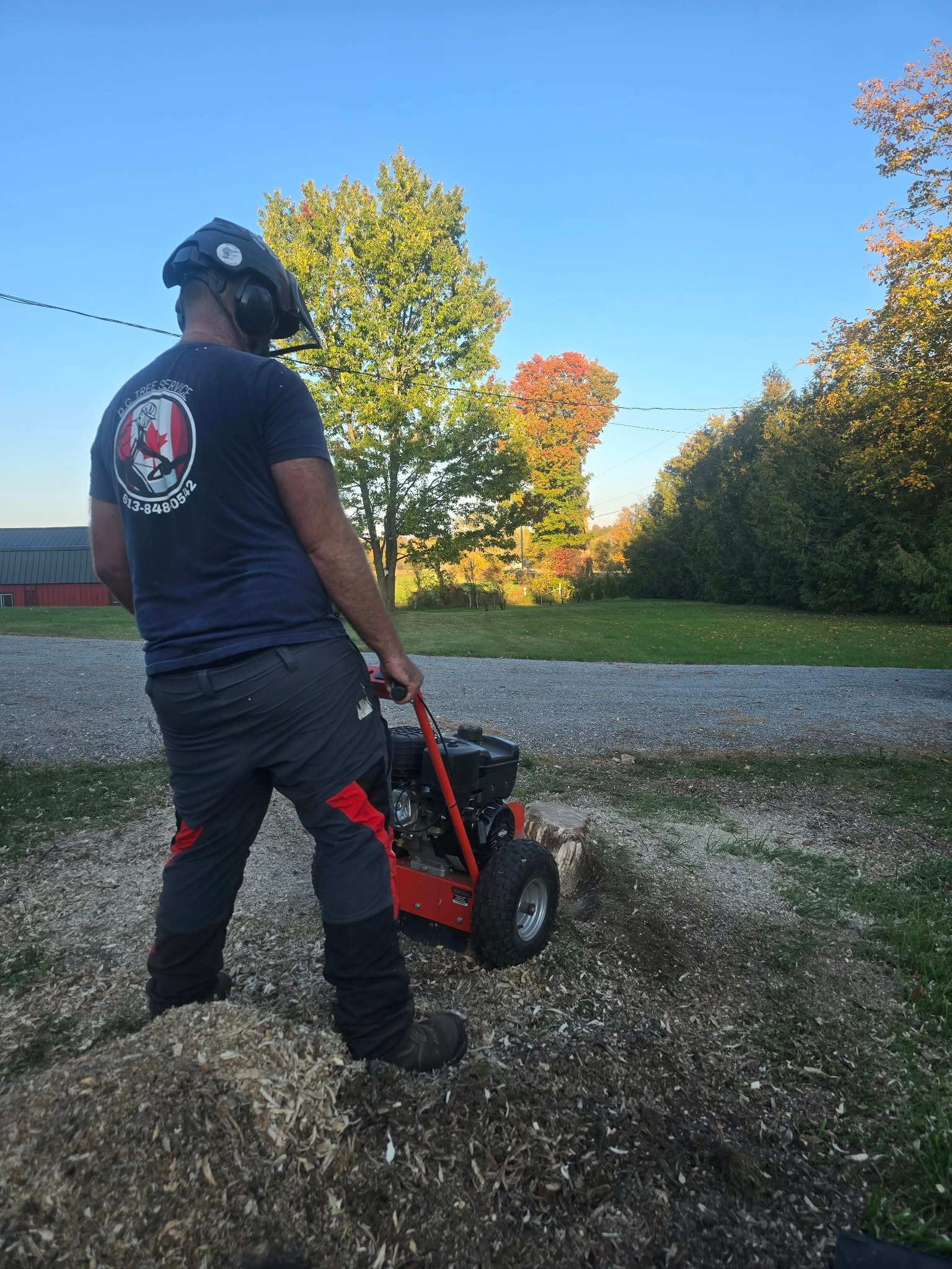 Stump Grinding